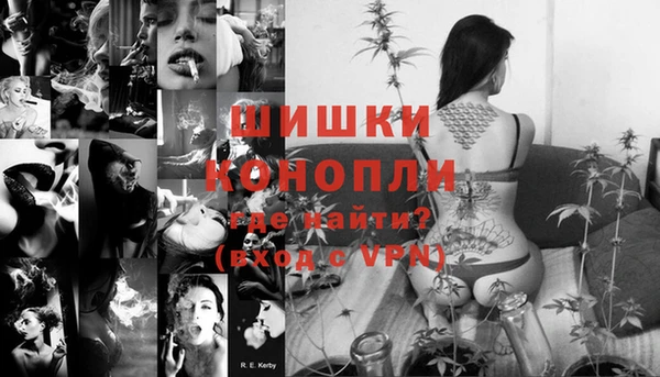 стаф Бронницы