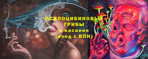 стаф Бронницы