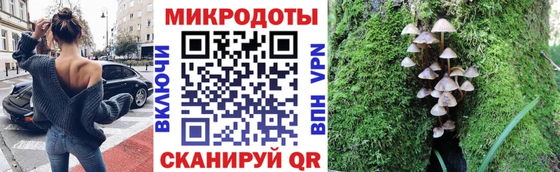 Купить где  Боготол  Галлюциногенные грибы прущие грибы 